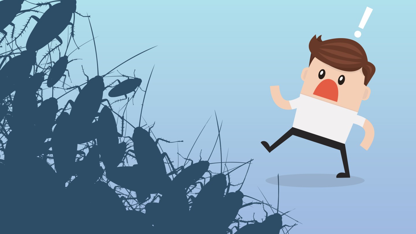 Cockroaches and Your Health - What you need to know